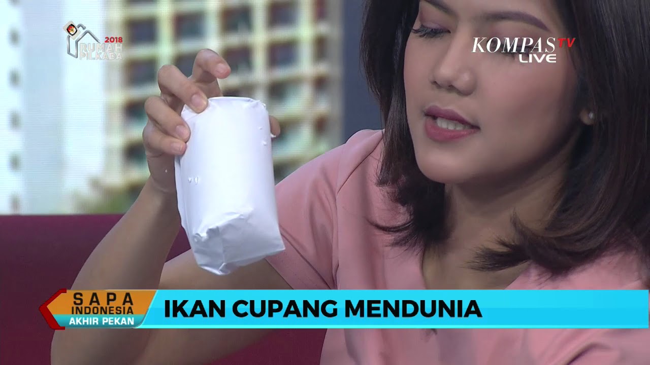 Ikan Cupang, Si Kecil Berharga Jutaan Rupiah
