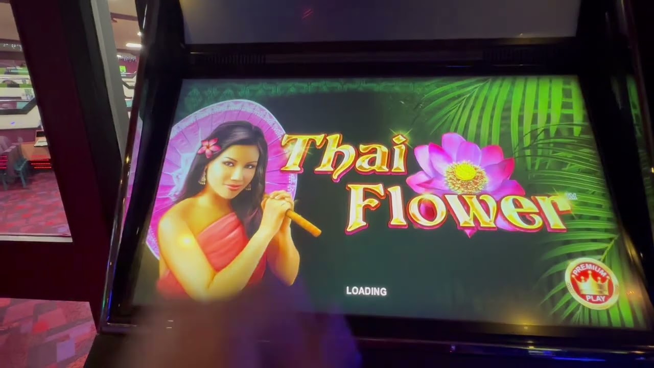 LOTS OF SLOTS AT MECCA BINGO. Thai flower went on a little mental one just at the right time !!