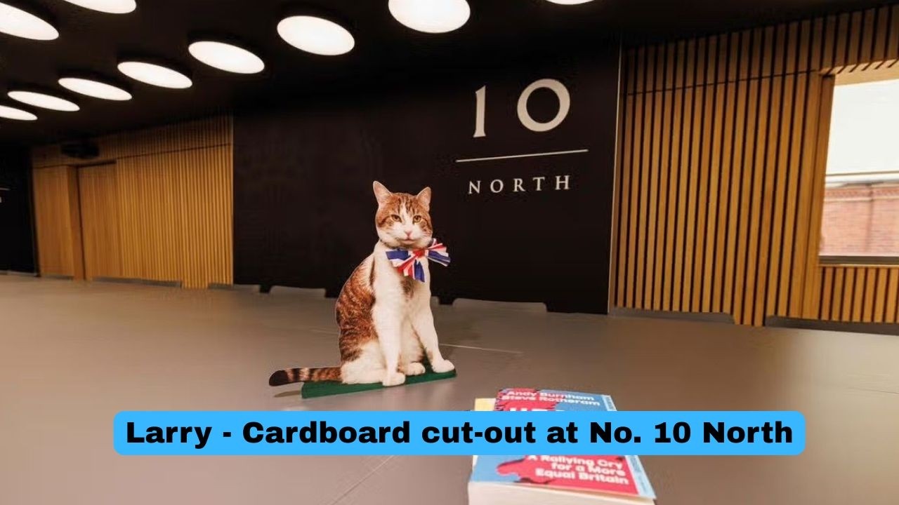 Larry, The Downing Street Cat - Larry&rsquo;s Doppelg&auml;nger! 😹