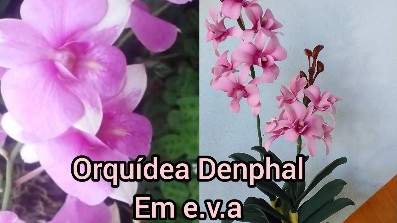 Orquídea denphal em eva/ passo a passo/pintura e montgem