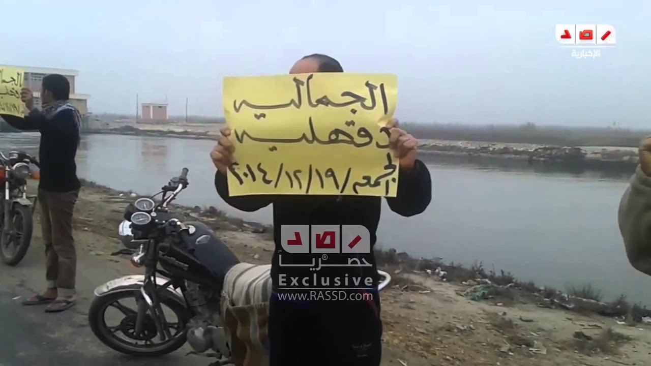 رصد | الدقهلية | سلسله بشريه بمركز الجماليه طريق السلام الدولى الجمعة