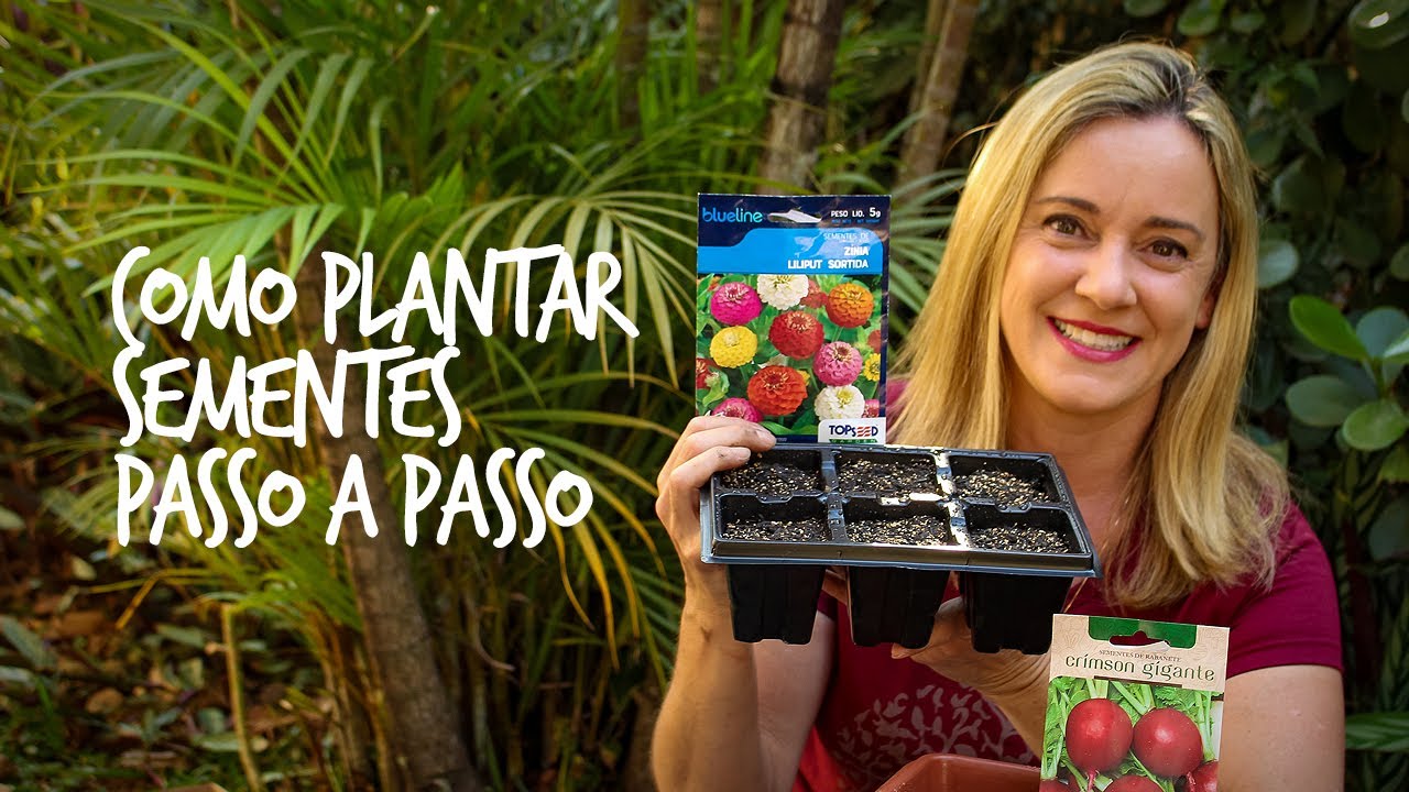 Como plantar sementes de flores e hortaliças passo a passo