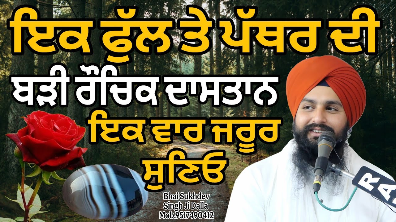 ਇਕ ਫੁੱਲ ਤੇ ਪੱਥਰ ਦੀ ਬੜੀ ਰੌਚਿਕ ਦਾਸਤਾਨ ਇਕ ਵਾਰ ਜਰੂਰ ਸੁਣਿਓ || bhai sukhdev singh ji dalla