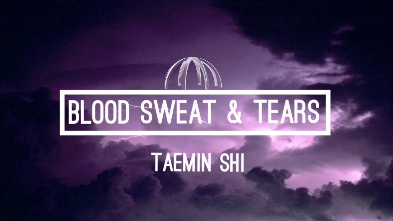 BLOOD SWEAT AND TEARS - BTS [German cover/Deutsch]