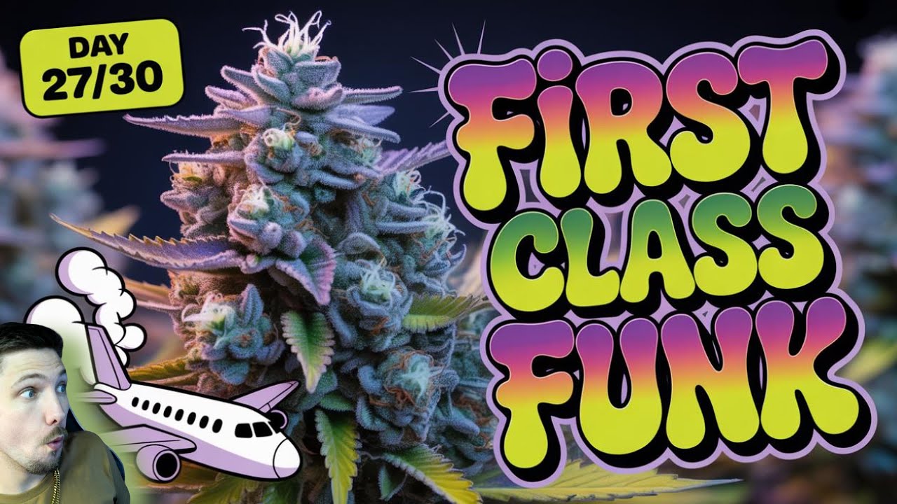 FIRST CLASS FUNK! 🚀 The LOUDEST One Yet?! (Day 27/30)