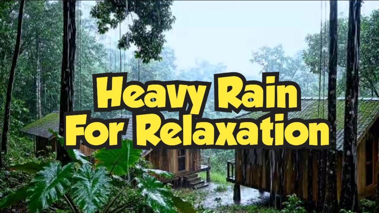 Rain Sound for Sleep 🌧 | Relieve Stress and Insomnia Fast | Asmr 08