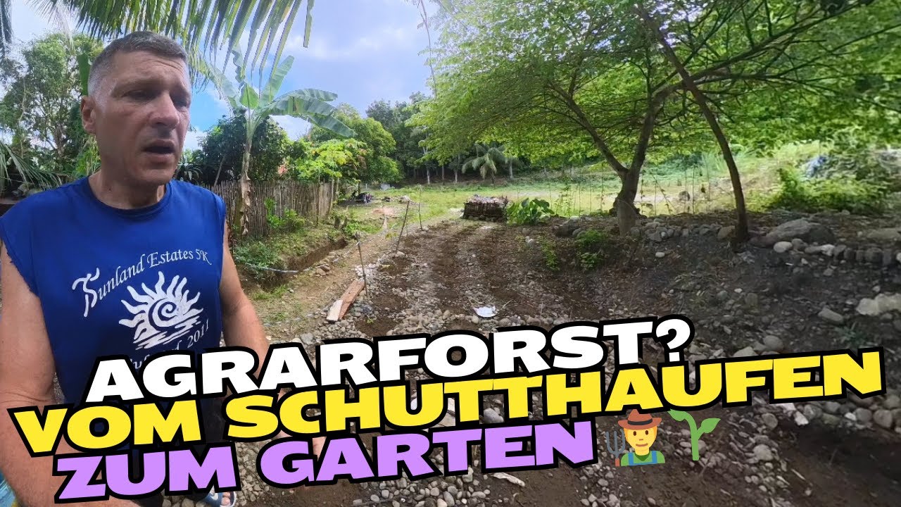 Steine, Schutt & eine Idee 💡 | So entsteht Agrarforst im eigenen Garten