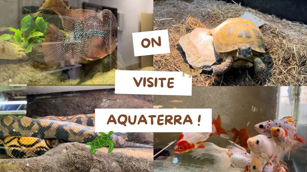 Bienvenue au club vétérinaire AquaTerra