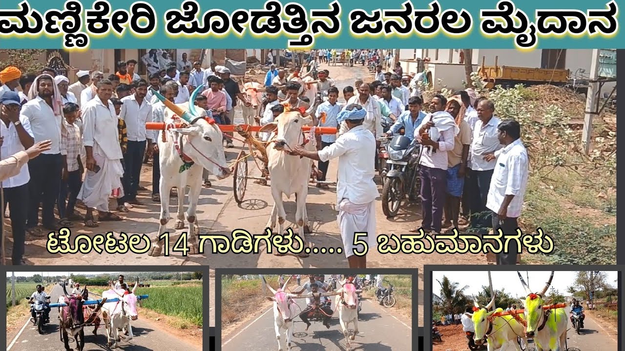 Mannikeri General Jodettina Sharyat, ಮನ್ನಿಕೇರಿ ಜೋಡೆತ್ತಿನ ಜನರಲ ಮೈದಾನ.... Mannikeri Yattina Race, 