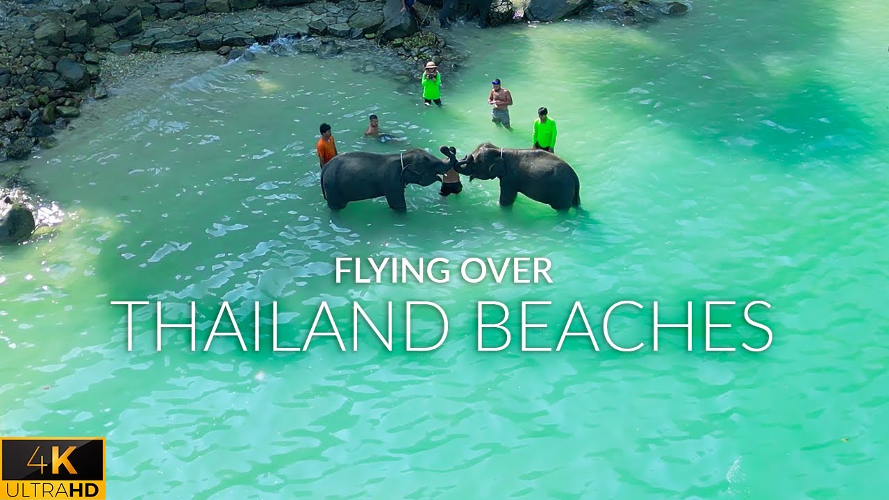 Flying over Thailand beaches: Elephants bathing, Phuket, Patong (4K UHD)