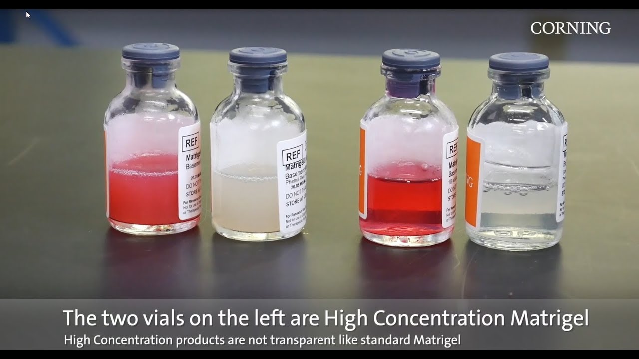 Corning® Matrigel® Matrix: Thawing Best Practices