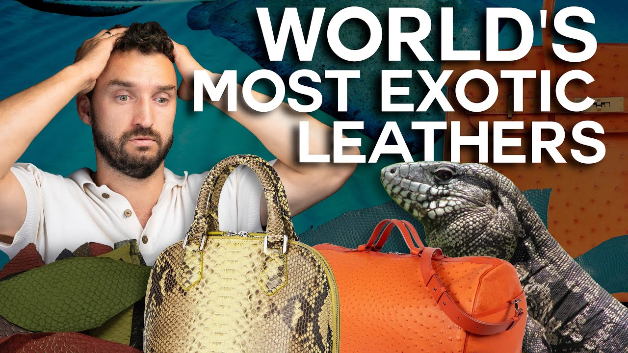 7 Exotic Leather Types (Crocodile, Ostrich, Stingray, Cordovan) & Why They&rsquo;re So Expensive