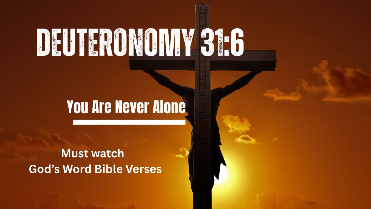 You are Never Alone
