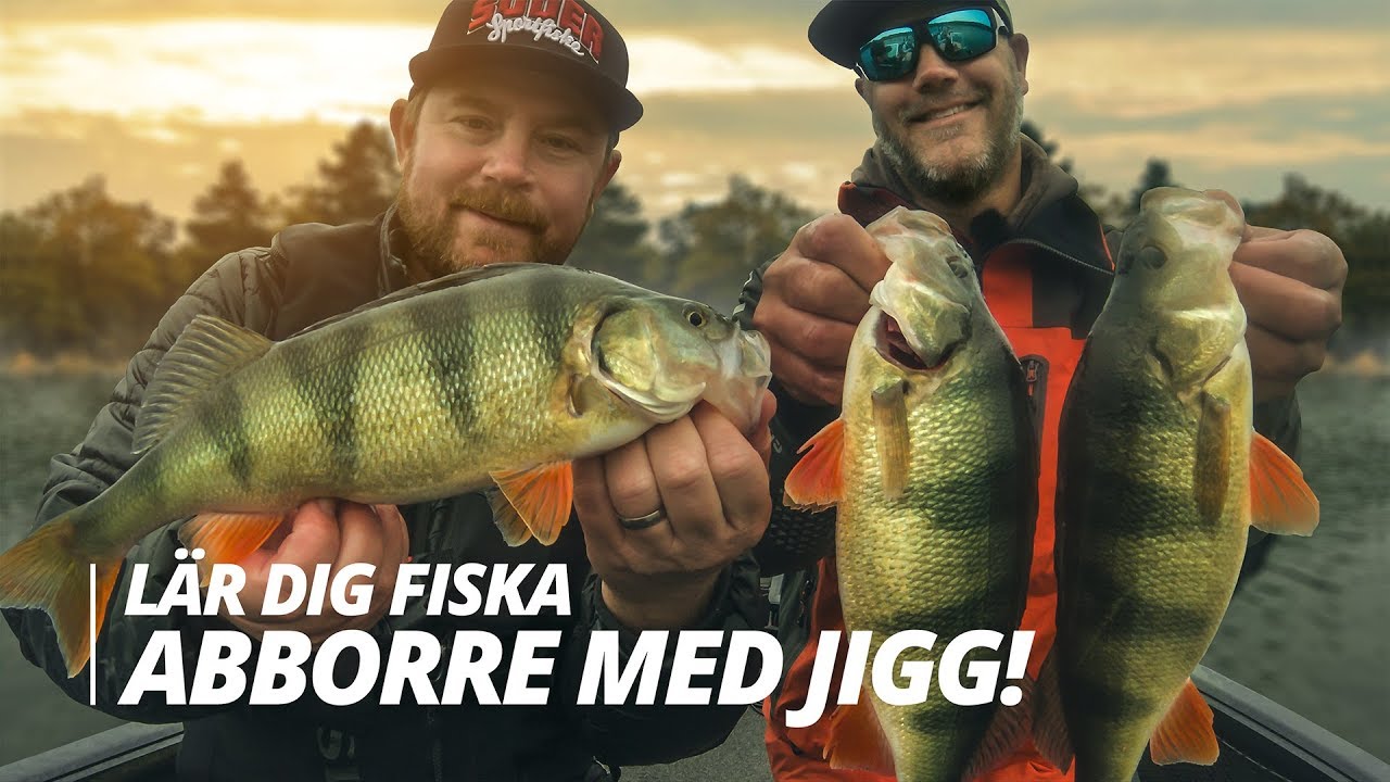 Lär dig fiska abborre med jigg! - Sportfiskeprylar.se