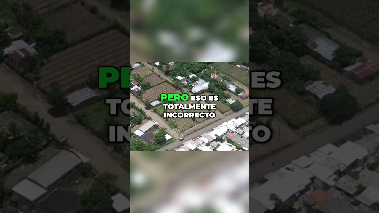 La historia de la pandilla MS 13 en Los &Aacute;ngeles