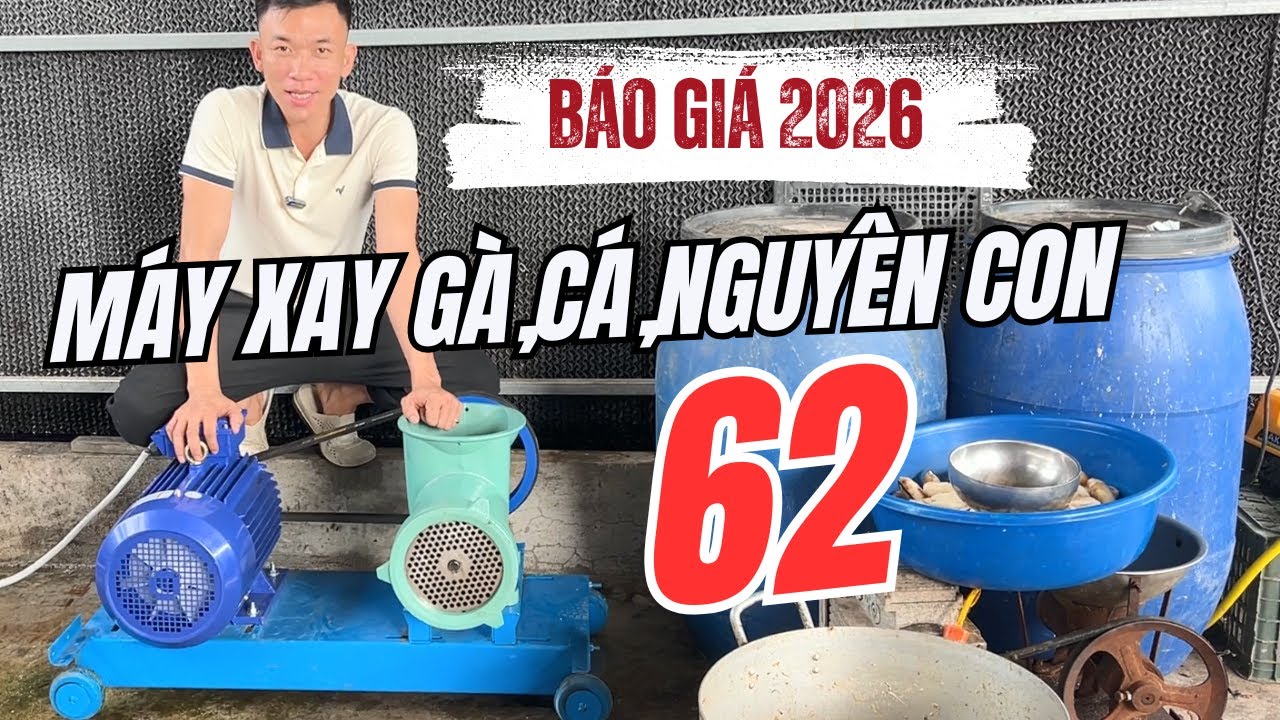 Máy Xay Xương Thịt Công Nghiệp Cối 62 Có Giá Bán Bao Nhiêu
