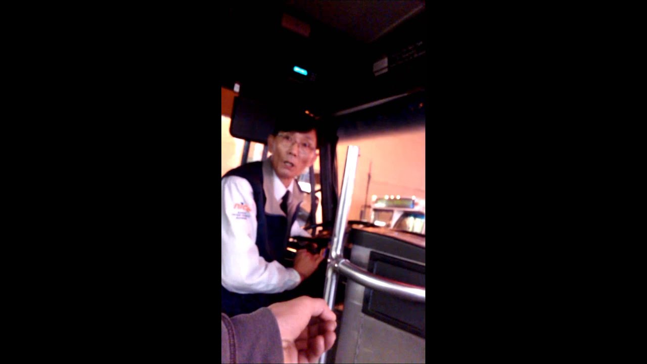 Nice bus driver N20