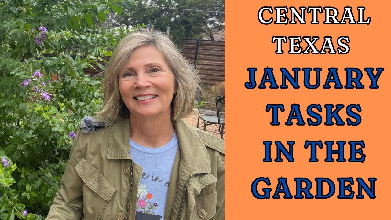January Tasks in the Garden