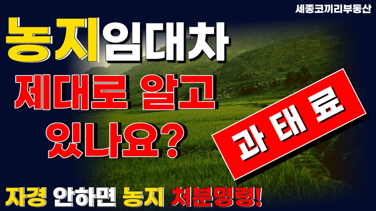농지위탁경영, 임대차, 사용대차 헷갈리시는 분들 모두 필히 보세요