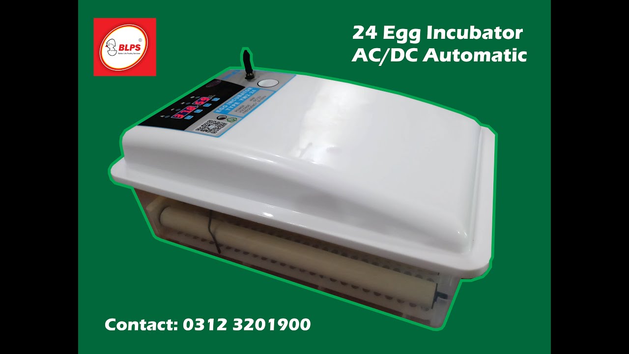 24 Egg AC/DC Automatic Incubator