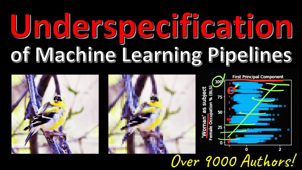 Underspecification Presents Challenges for Credibility in Modern Machine Learning (Paper Explained)