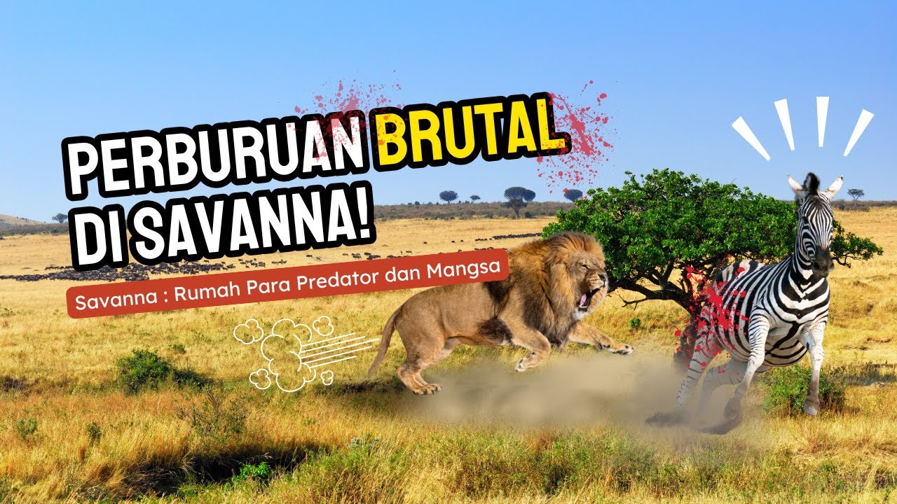 Savanna Afrika: Detik-detik Menegangkan Perburuan di Alam Liar!