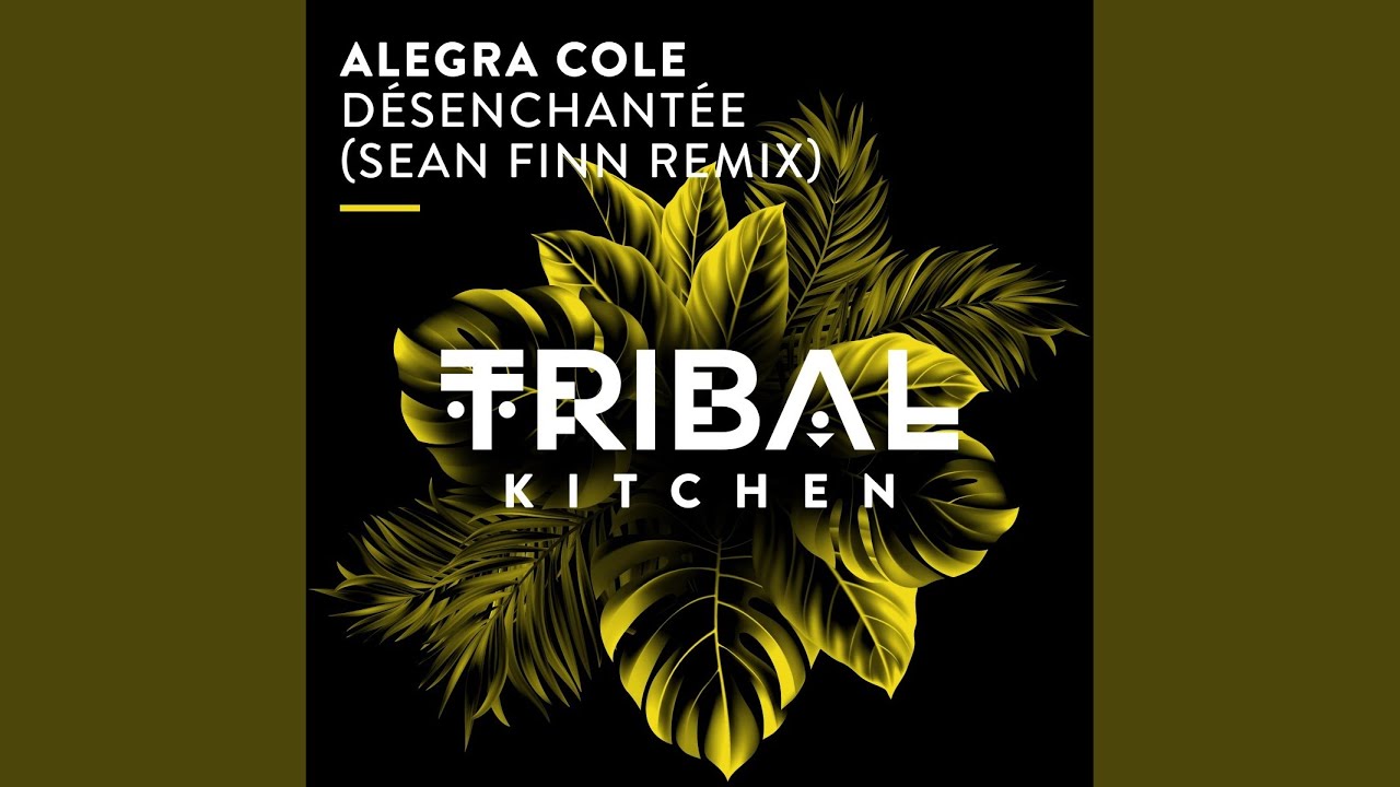 Désenchantée (Sean Finn Extended Remix)