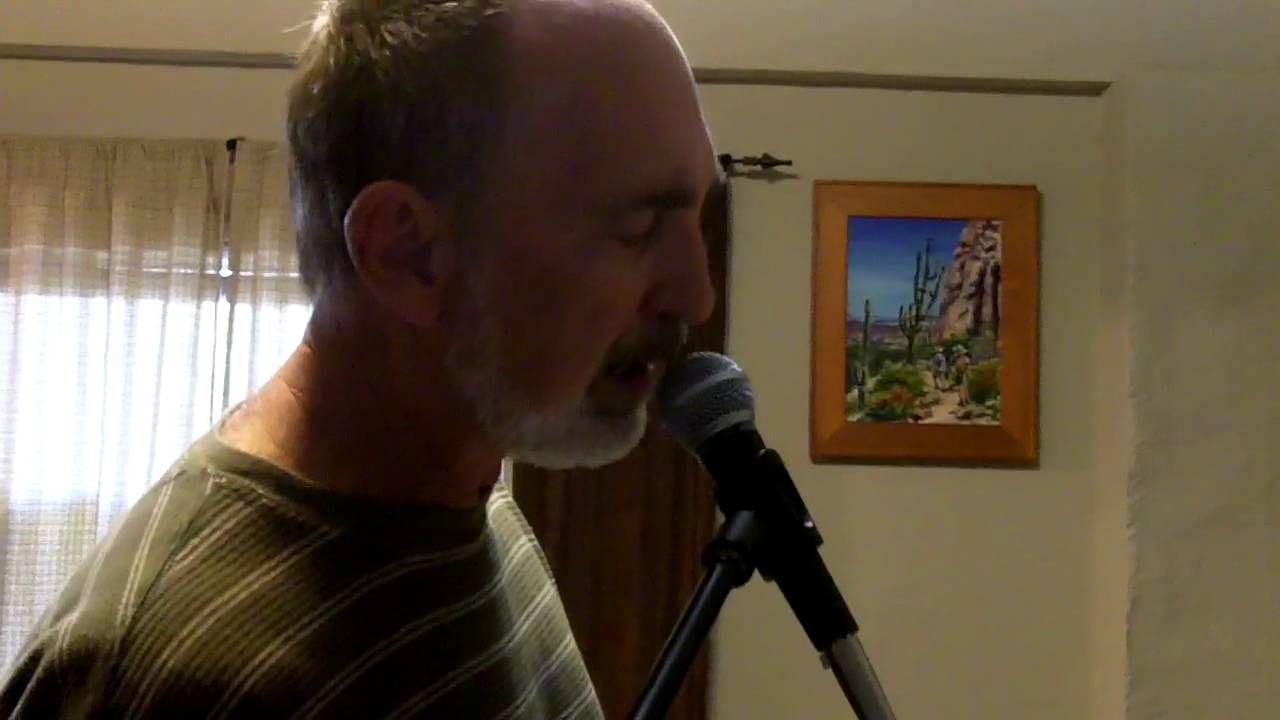 Servant (Independent voter political tune)