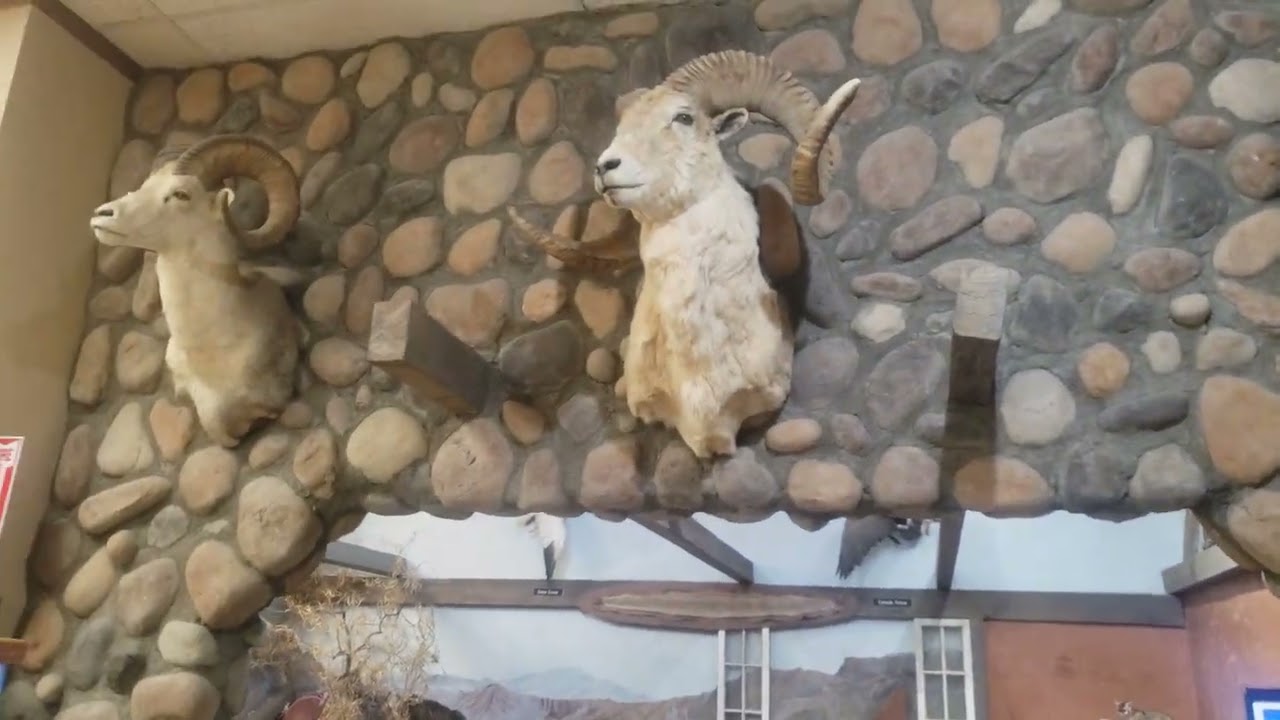 South for the Winter Roadtrip Episode 389: Mohave Museum, Kingman, AZ Part 3