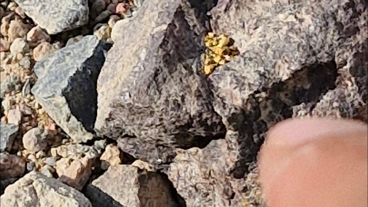 حجر الصوان غني بالذهب  إذ كان العرق قريب منه من الكوارتز غني 
