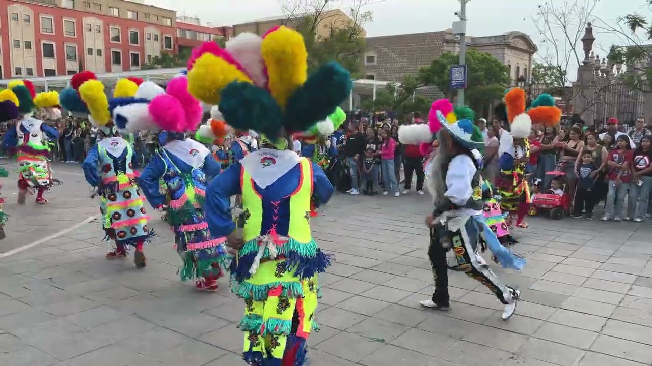 Fiesta Romería de la Asunción 