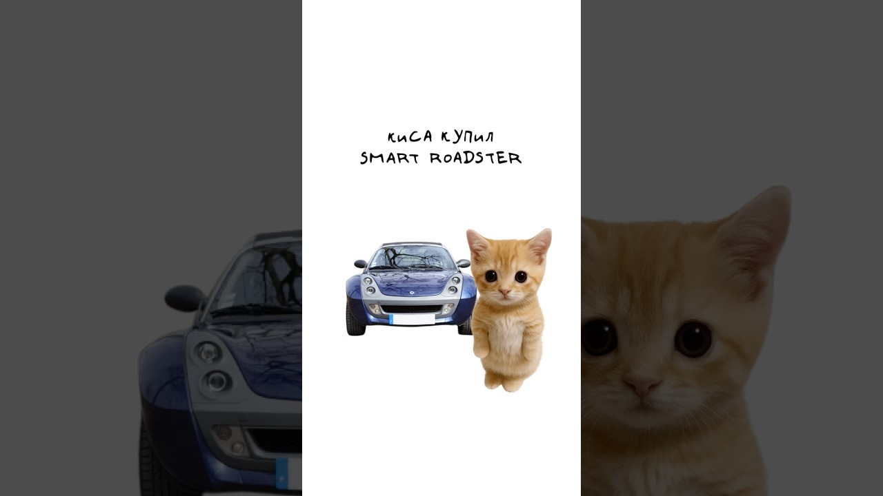 Киса покупает Smart Roadster #shorts