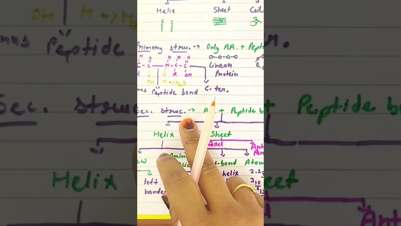 Amino acid#aminoacid #youtubeshorts #biology #sciencetool#protein