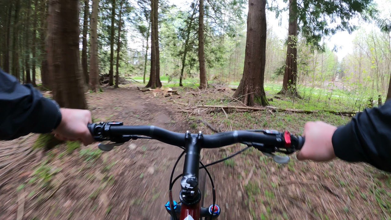 ⁴ᴷ⁶⁰ Bremer Loop Bremgartenwald Trail Bern Switzerland Mai 2021