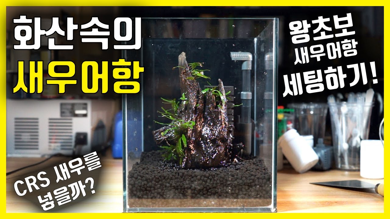 CRS 새우어항 만들기 | 화산속의 새우어항 세팅