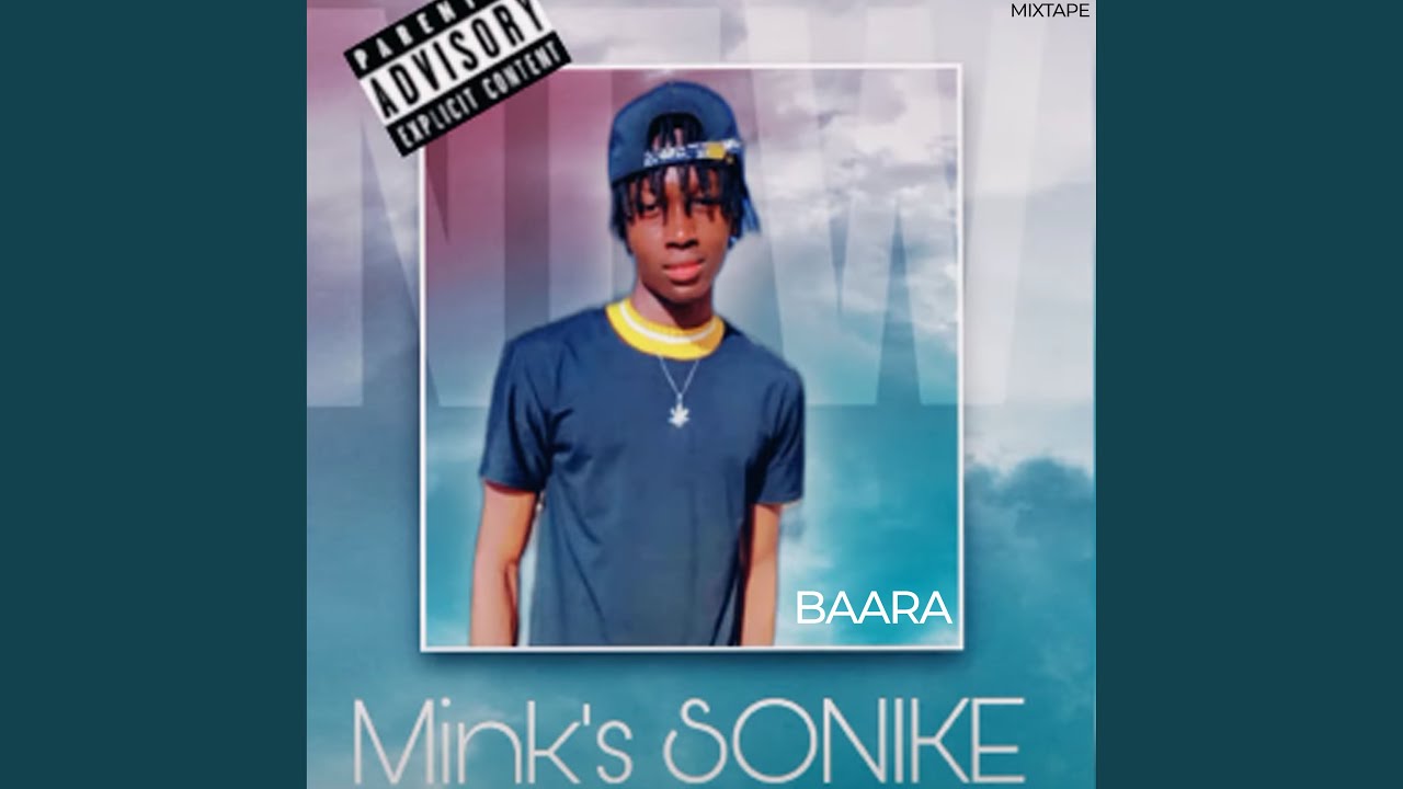 Alsane Diallo - Mink's Sonik&eacute;