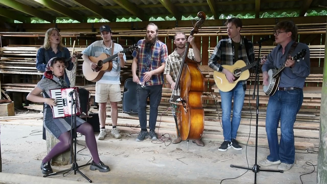 Down By The Riverside (Live fra Træværket) - Halmøre