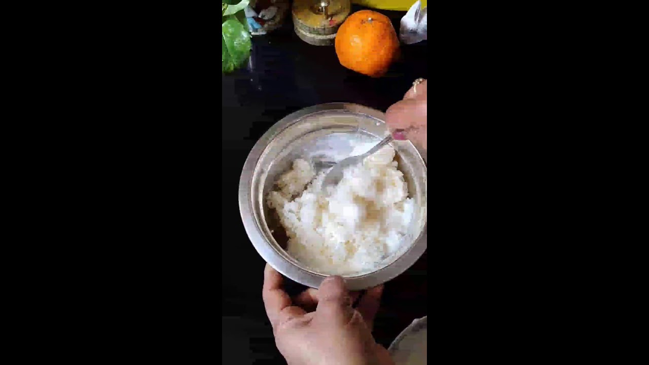 Delicious curd rice.