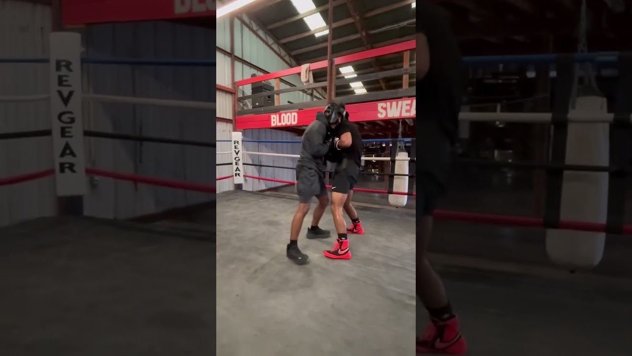 Pressure sparring #boxing #noboxingnolife