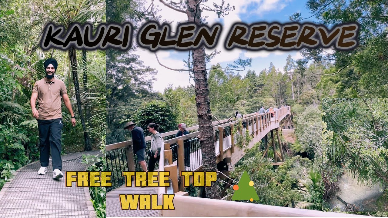 KAURI GLEN RESERVE 🌳 New Zealand | FREE TREE TOP WALK 🚶 | ADVENTURESS HIKING PLACE AUCKLAND ♨️ |
