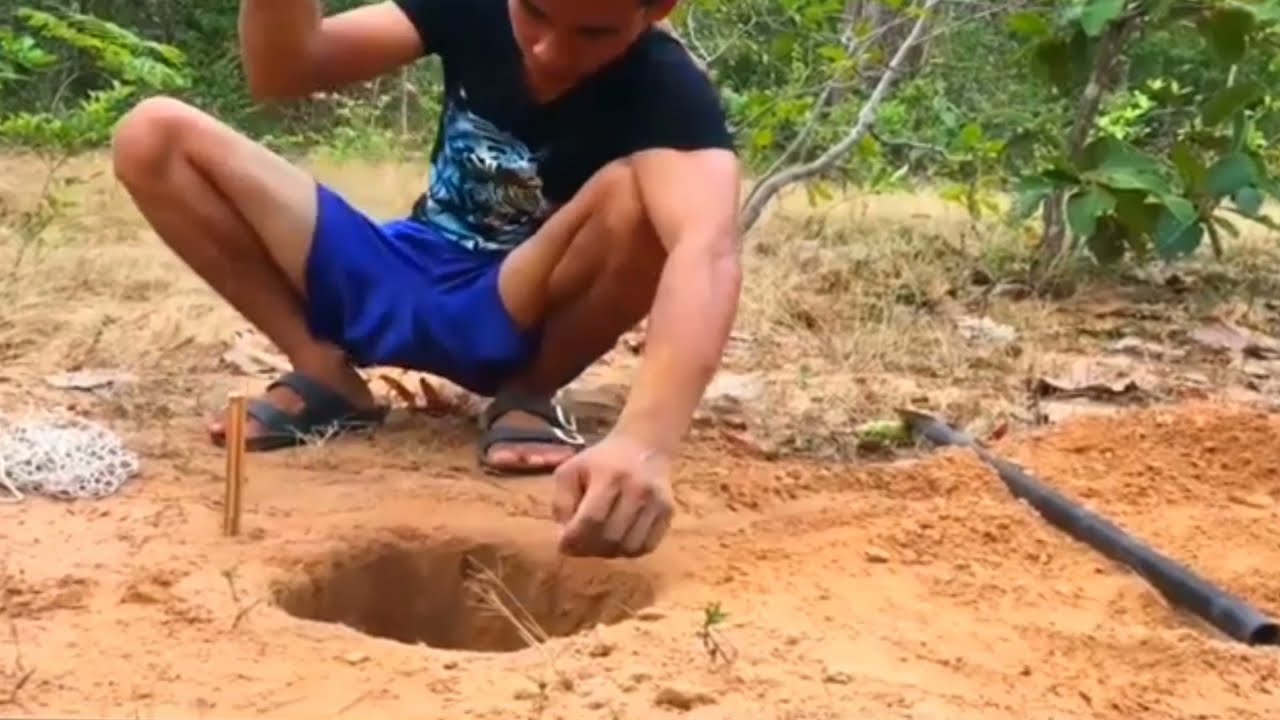Amazing_Monkey_Trapping_Video_Very_Easy_Monkey_Trap_Making_Animals.Monkey Trap With Net
