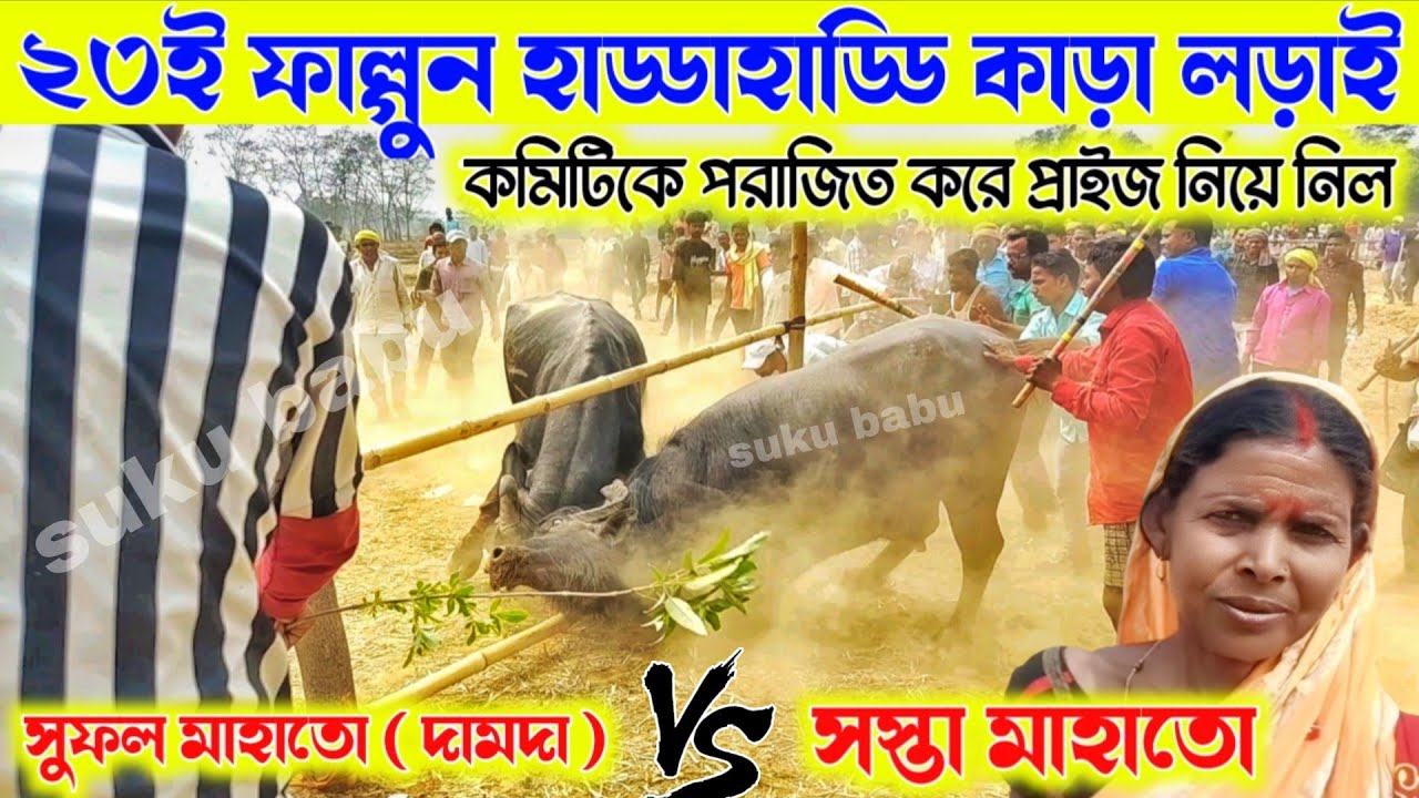 ২৩ই ফাল্গুন হাড্ডাহাড্ডি কাড়া লড়াই কমিটিকে পরাজিত করে প্রাইজ নিয়ে নিল 💢suku babu.. 