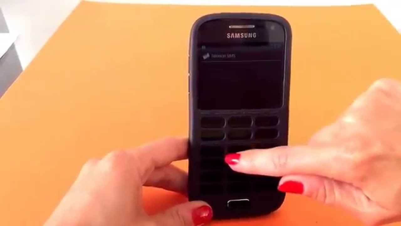 Claria Vox: Easy-to-use smartphone for the blind (previously Telorion)