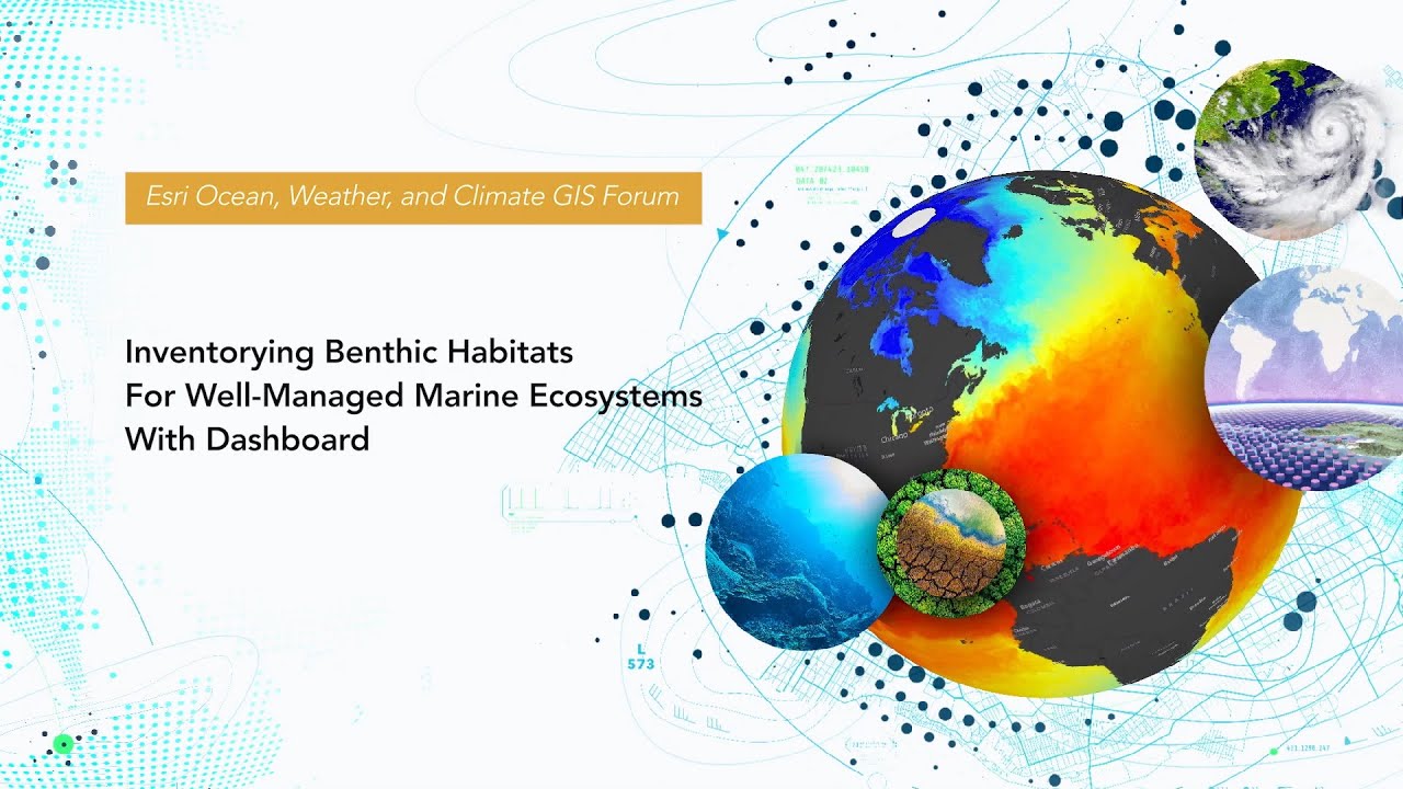Inventorying Benthic Habitats for Well-Managed Marine Ecosystems with Dashboard