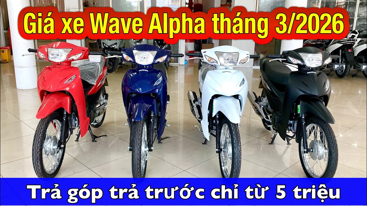 Giá xe wave alpha tháng 3/2026 | Bán Trả góp #wavea110 #wavealpha2026 #minhnamle66