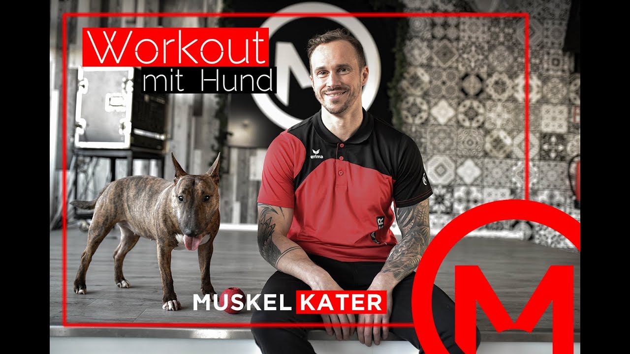 Workout mit Hund