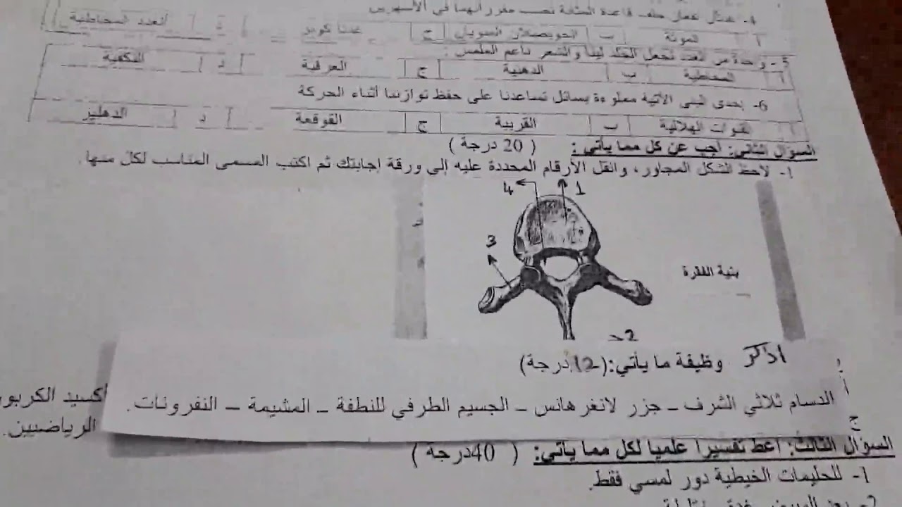 الصف التاسع - مادة الأحياء - حل نموذج امتحاني  - أ. هدى خرسي
