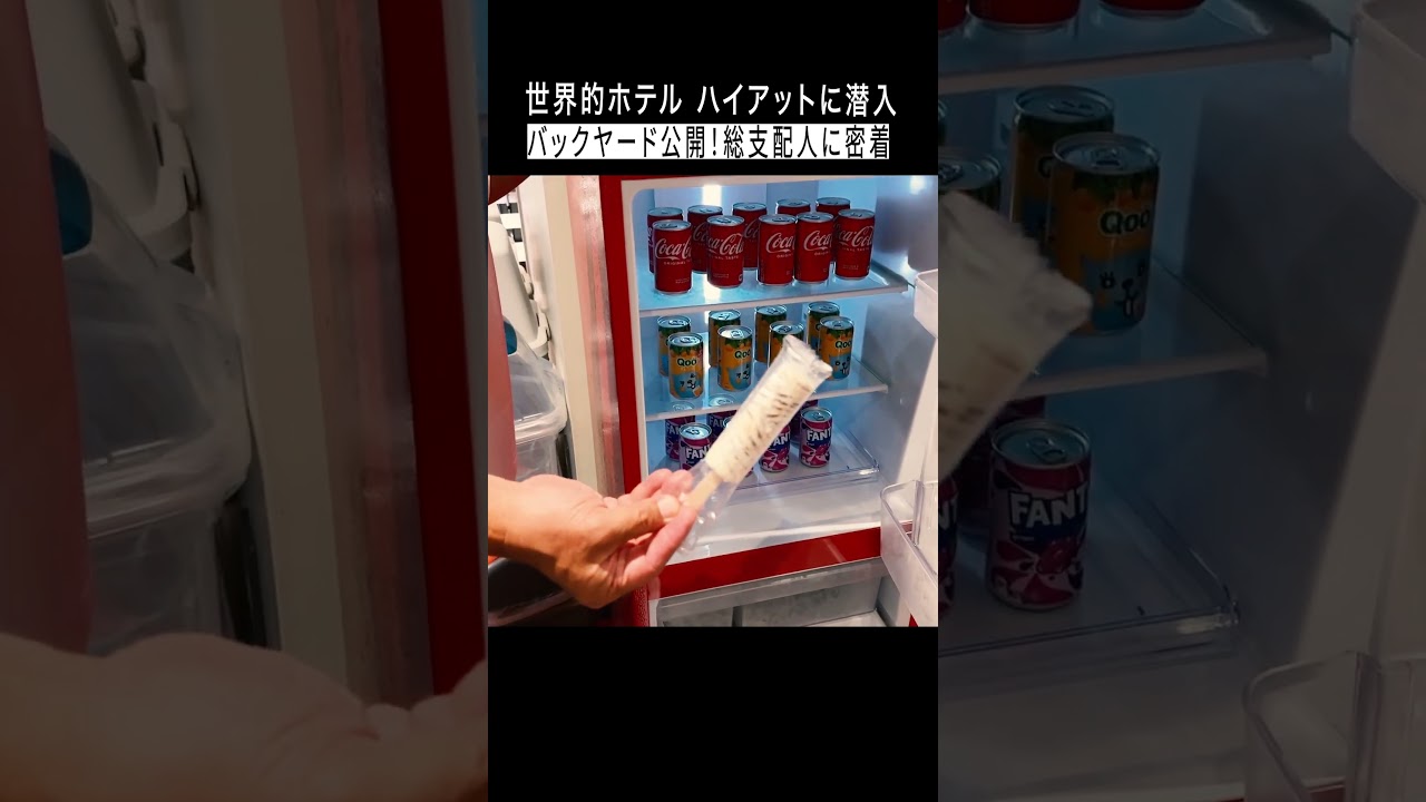 世界的ホテル ハイアットに潜入「バックヤード公開！総支配人に密着」 #shorts #ハイアット  #japanesetrip #東京 #銀座 #hyatt #tokyo #ginza #ドキュメント