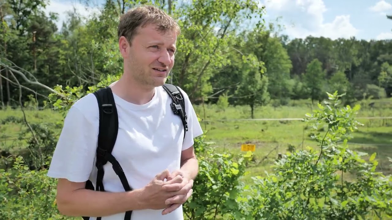 Př&iacute;rodn&iacute; pam&aacute;tka Na Plachtě
