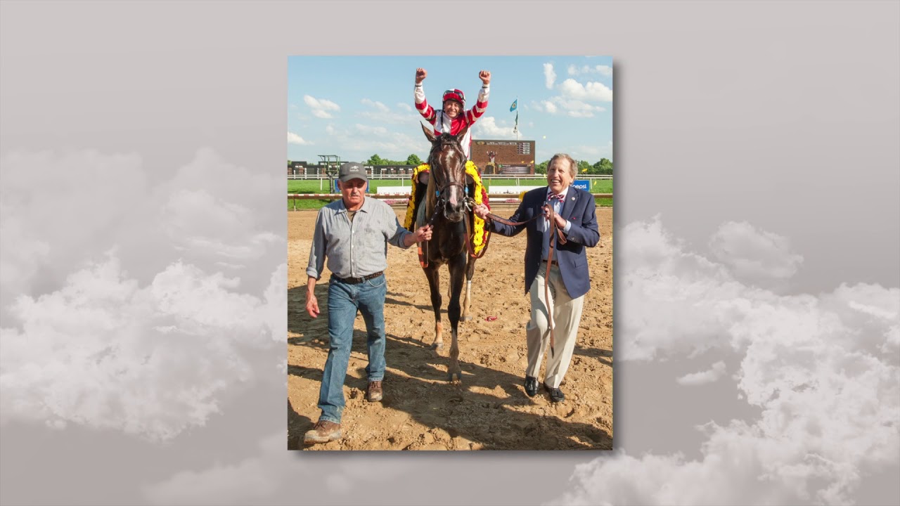 Ноябрьская распродажа Fasig-Tipton: SONGBIRD (полная версия)